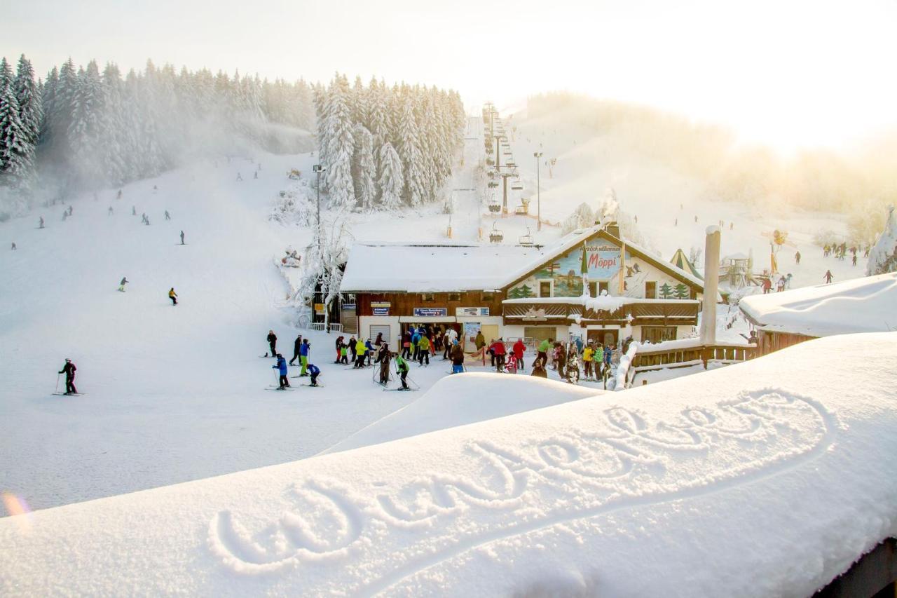 The Suite Winterberg Deluxe - Exklusive Ausstattung, Bestlage Zwischen Skikarussell Und Marktplatz, Eigener Garten, Ski- Und Fahrradraum, Ruhige Suedausrichtung, Wlan, Hundefreundlich Esterno foto