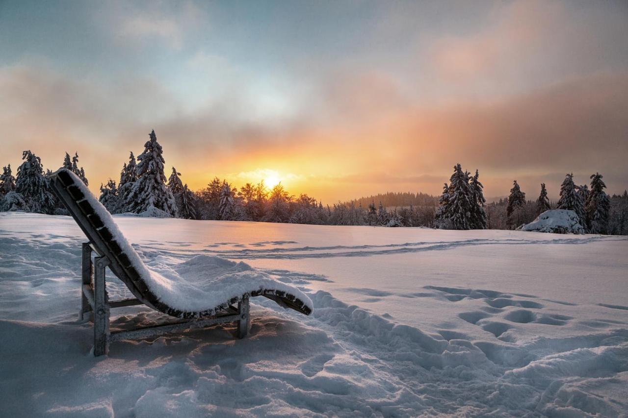 The Suite Winterberg Deluxe - Exklusive Ausstattung, Bestlage Zwischen Skikarussell Und Marktplatz, Eigener Garten, Ski- Und Fahrradraum, Ruhige Suedausrichtung, Wlan, Hundefreundlich Esterno foto