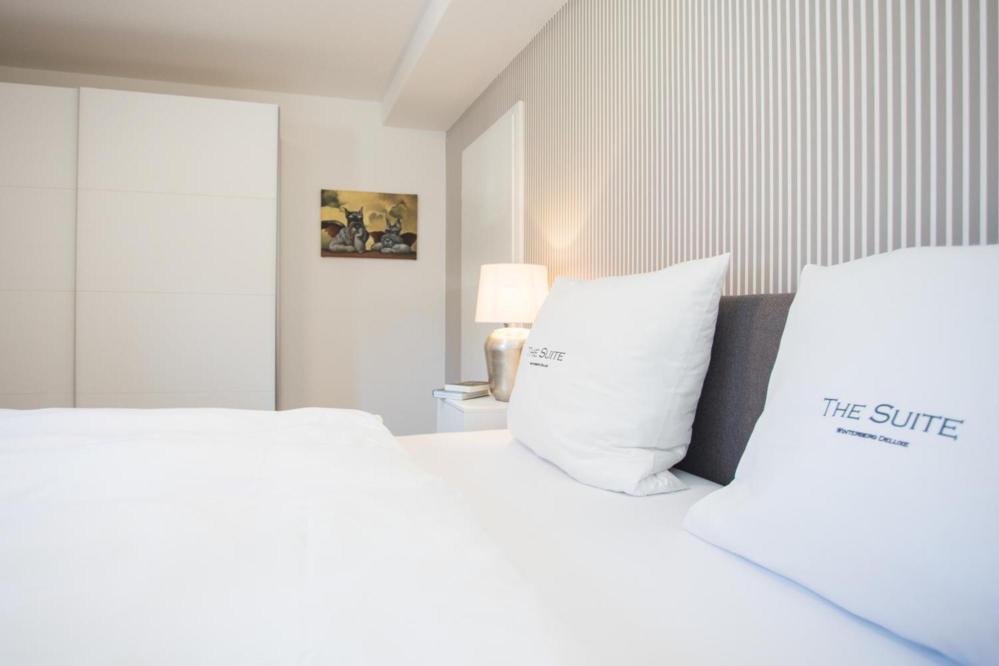 The Suite Winterberg Deluxe - Exklusive Ausstattung, Bestlage Zwischen Skikarussell Und Marktplatz, Eigener Garten, Ski- Und Fahrradraum, Ruhige Suedausrichtung, Wlan, Hundefreundlich Esterno foto