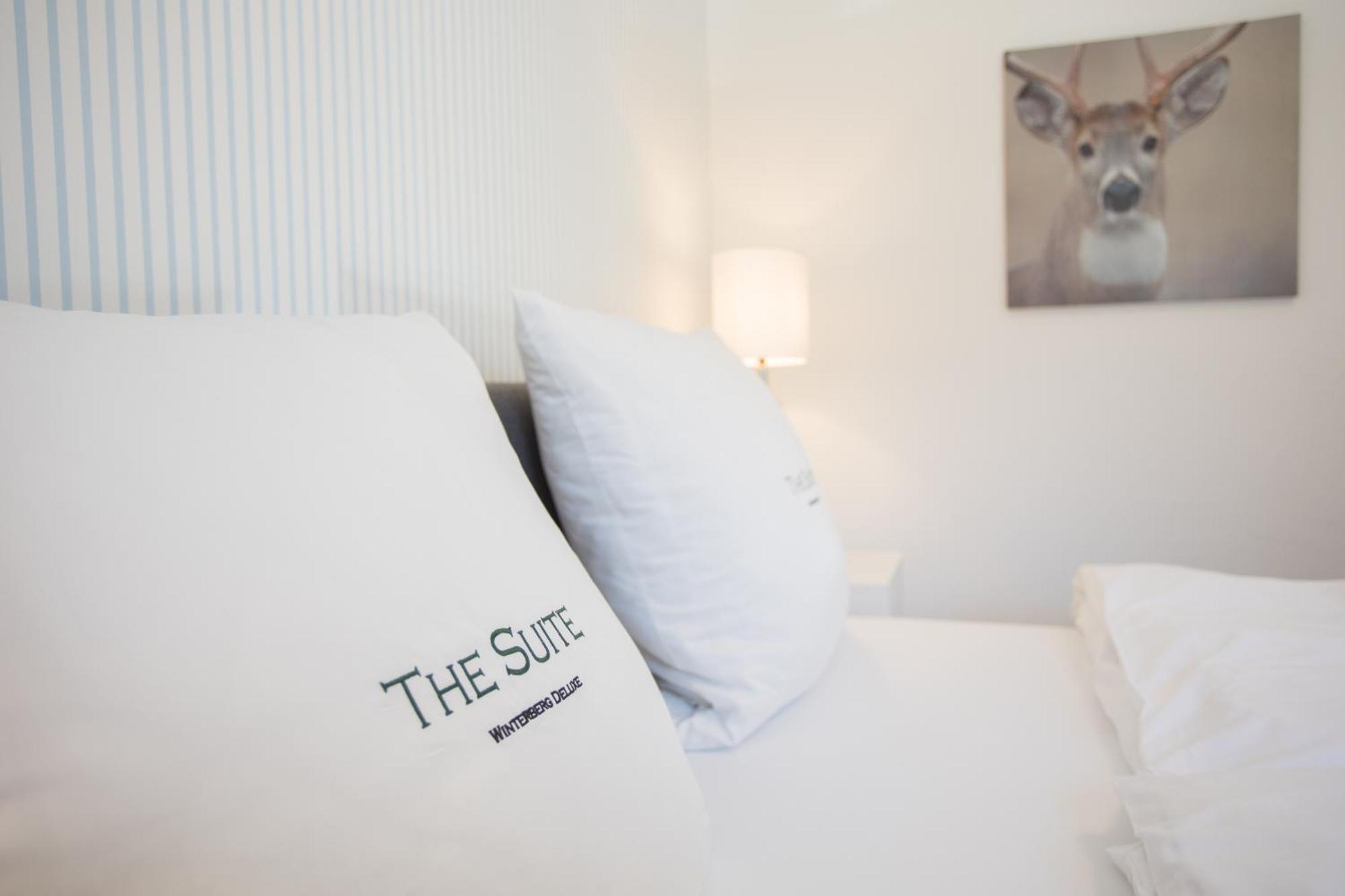 The Suite Winterberg Deluxe - Exklusive Ausstattung, Bestlage Zwischen Skikarussell Und Marktplatz, Eigener Garten, Ski- Und Fahrradraum, Ruhige Suedausrichtung, Wlan, Hundefreundlich Esterno foto